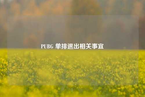 PUBG 单排退出相关事宜