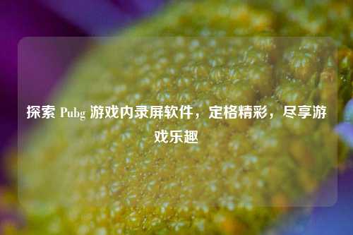 探索 Pubg 游戏内录屏软件,定格精彩,尽享游戏乐趣