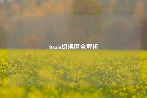 Steam切换区全解析