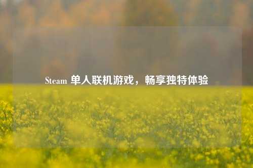 Steam 单人联机游戏，畅享独特体验