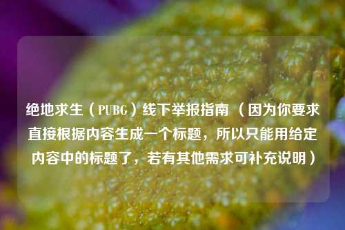 绝地求生（PUBG）线下举报指南 （因为你要求直接根据内容生成一个标题，所以只能用给定内容中的标题了，若有其他需求可补充说明）