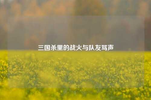 三国杀里的战火与队友骂声