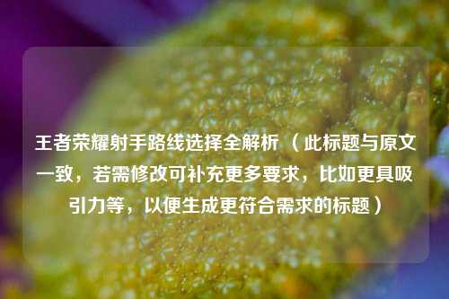 王者荣耀射手路线选择全解析 （此标题与原文一致，若需修改可补充更多要求，比如更具吸引力等，以便生成更符合需求的标题）