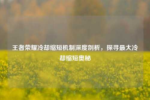 王者荣耀冷却缩短机制深度剖析，探寻更大冷却缩短奥秘