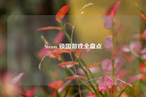 Steam 锁国游戏全盘点