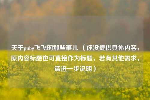 关于pubg飞飞的那些事儿 (你没提供具体内容,原内容标题也可直接作为标题,若有其他需求,请进一步说明)