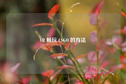 VR 畅玩 CSGO 的 *** 
