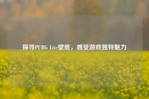 探寻PUBG Lite壁纸，感受游戏独特魅力