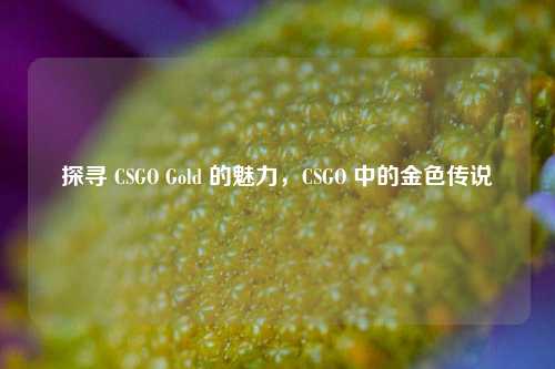 探寻 CSGO Gold 的魅力，CSGO 中的金色传说