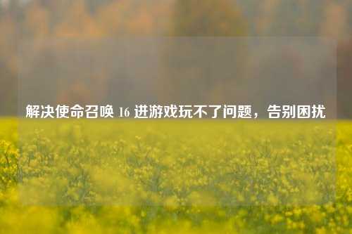 解决使命召唤 16 进游戏玩不了问题，告别困扰