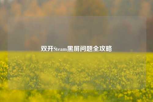 ***Steam黑屏问题全攻略