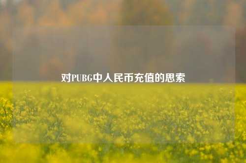 对PUBG中人民币充值的思索