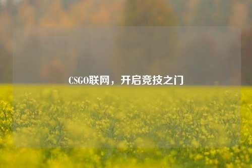 CSGO联网，开启竞技之门