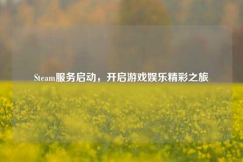 Steam服务启动，开启游戏娱乐精彩之旅