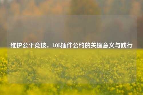 维护公平竞技，LOL插件公约的关键意义与践行