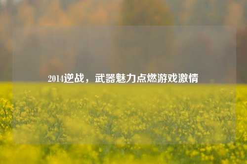 2014逆战，武器魅力点燃游戏***