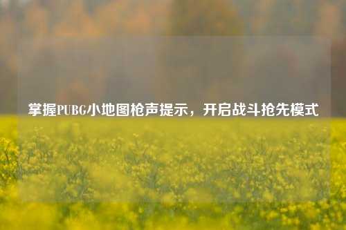 掌握PUBG小地图枪声提示,开启战斗抢先模式