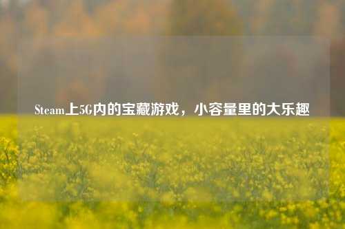 Steam上5G内的宝藏游戏，小容量里的大乐趣