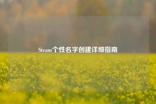 Steam个性名字创建详细指南