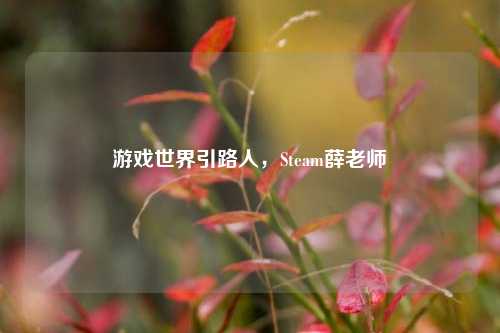 游戏世界引路人，Steam薛老师