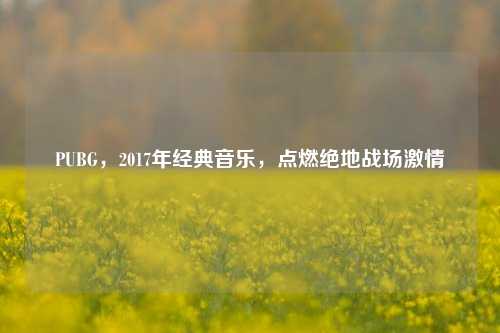 PUBG，2017年经典音乐，点燃绝地战场***