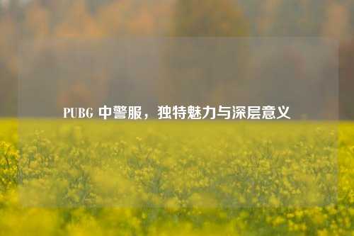 PUBG 中警服，独特魅力与深层意义