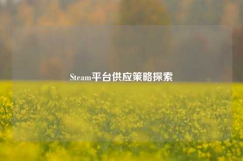 Steam平台供应策略探索