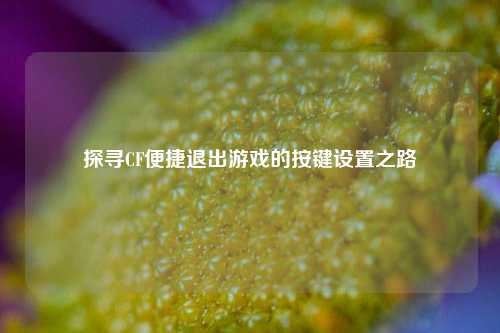 探寻CF便捷退出游戏的按键设置之路