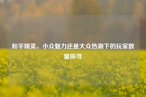 和平精英，小众魅力还是大众热潮下的玩家数量探寻