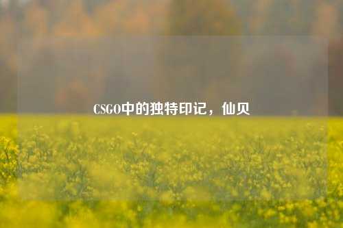 CSGO中的独特印记，仙贝