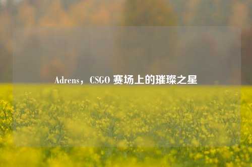 Adrens，CSGO 赛场上的璀璨之星