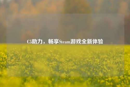 C5助力，畅享Steam游戏全新体验