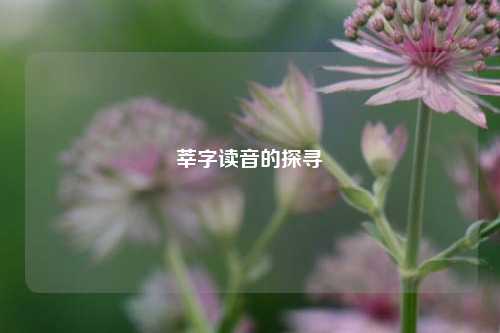 莘字读音的探寻