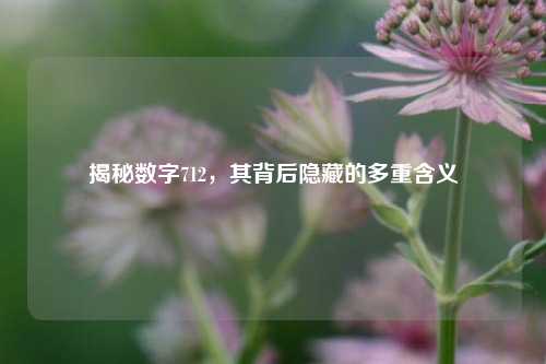 揭秘数字712，其背后隐藏的多重含义