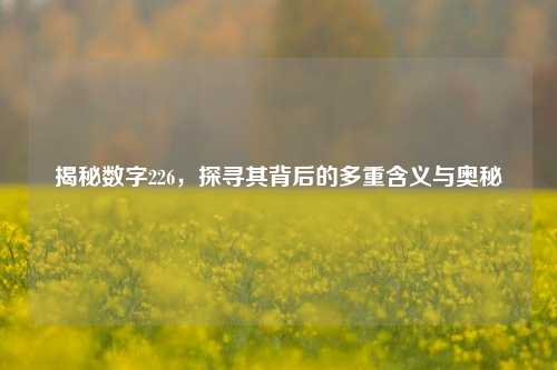 揭秘数字226，探寻其背后的多重含义与奥秘