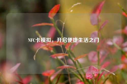 NFC卡模拟,开启便捷生活之门