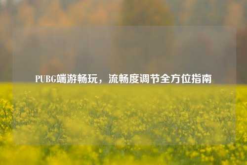 PUBG端游畅玩,流畅度调节全方位指南