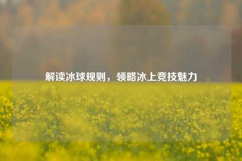 解读冰球规则,领略冰上竞技魅力