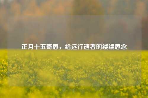 正月十五寄思,给远行逝者的缕缕思念