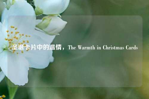 圣诞卡片中的温情,The Warmth in Christmas Cards