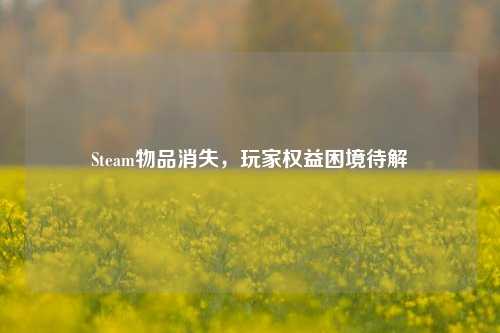 Steam物品消失，玩家权益困境待解