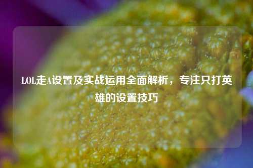 LOL走A设置及实战运用全面解析，专注只打英雄的设置技巧