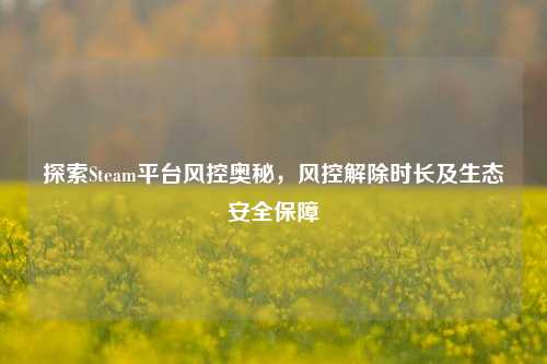探索Steam平台风控奥秘,风控解除时长及生态安全保障