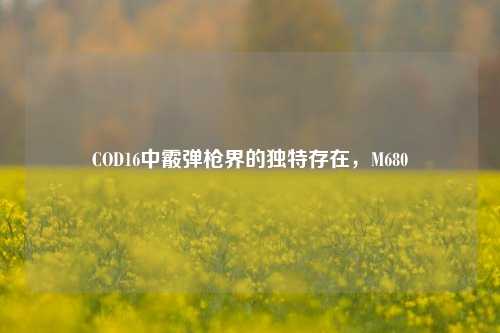 COD16中霰弹枪界的独特存在，M680