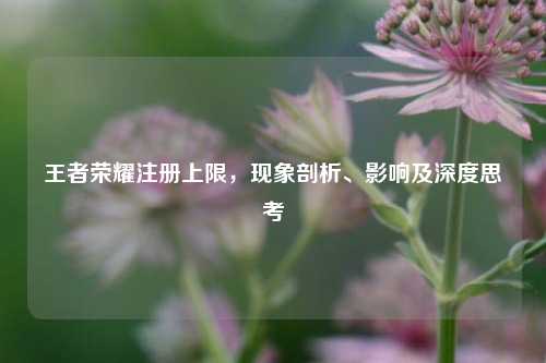 王者荣耀注册上限，现象剖析、影响及深度思考