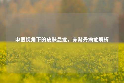 中医视角下的皮肤急症,赤游丹病症解析