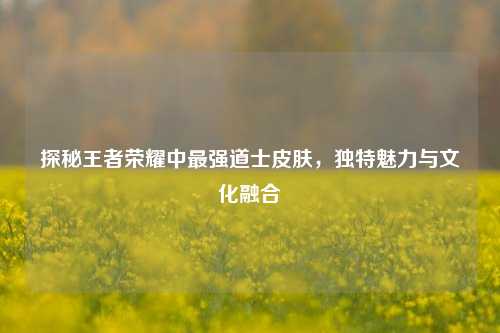 探秘王者荣耀中最强道士皮肤,独特魅力与文化融合