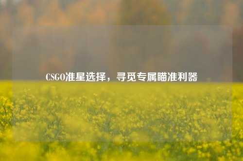 CSGO准星选择，寻觅专属瞄准利器