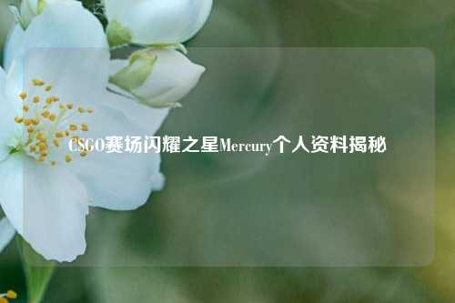 CSGO赛场闪耀之星Mercury个人资料揭秘