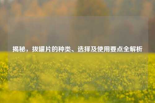 揭秘，拔罐片的种类、选择及使用要点全解析